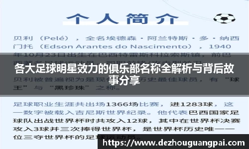 zoty中欧官方app下载